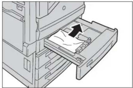 DELL C7765dn - Papierstaus in den Behältern 1 bis 4 - 2