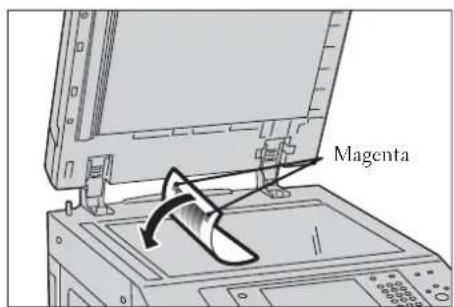 DELL C7765dn - Illustration of a printer with a paper feed being inserted (no text or symbols visible)

Legen Sie ein Materialformat und eine Papiersorte für die einzelnen Behälter fest.

Weitere Informationen hierzu finden Sie unter „Behälterattribute“ (P.333). - 1