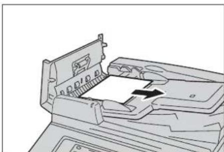 DELL C7765dn - Automatischer Duplex-Vorlageneinzug B1-C - 2