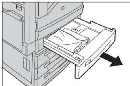 DELL C7765dn - Papierstaus in den Behältern 1 bis 4 - 1