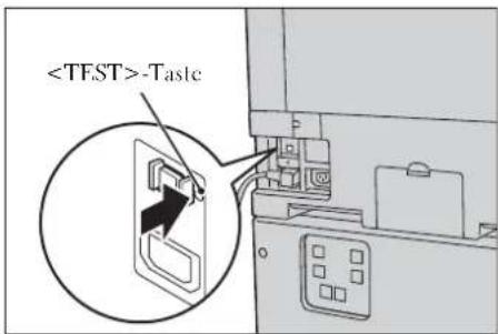 -Taste