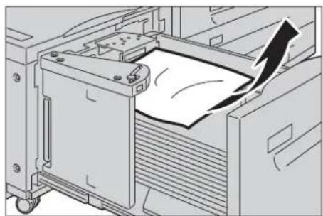 DELL C7765dn - Papierstau in Behälter 6 - 2
