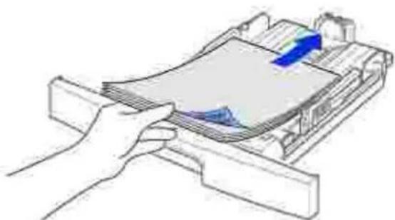 DELL 1600n - Druckmaterialien in das Papierfach einlegen - 2