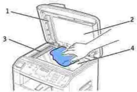 DELL 1600n - Scanner reinigen - 2