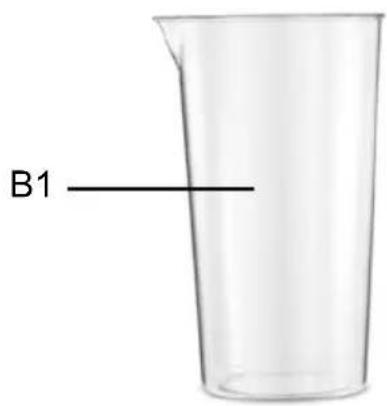 B1