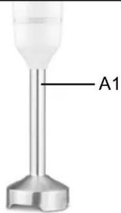 A1