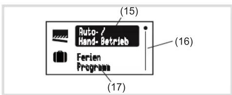 (15) Auto-/Hand-Betrieb (16) Ferien Program (17)