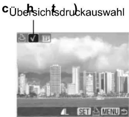 Übersichtsdruckauswahl