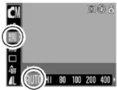 ISO AUTO AUTO HI 80 100 200 400