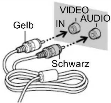 Gelb VIDEO IN AUDIO Schwarz