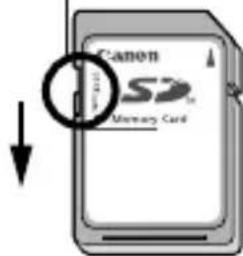 Canon SD Memory Card