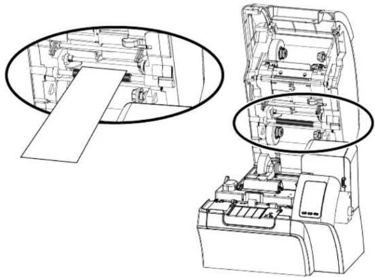 ZEBRA ZXP Series 9 - Auflagewalze - 1