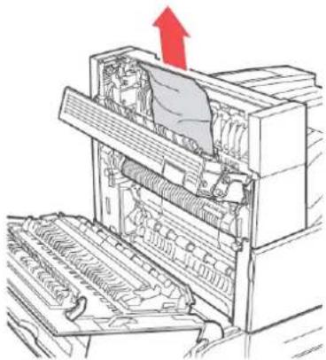 OKI B930dtn - INNERE ABDECKUNG E - 2