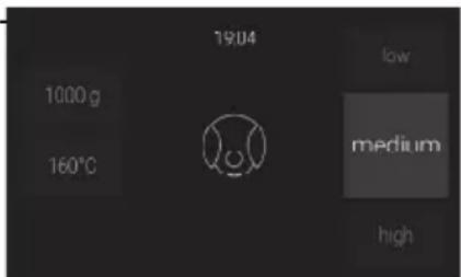 1904 1000 g 160°C low medium high