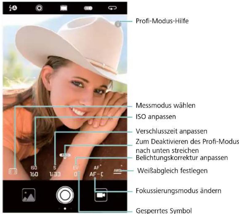 Profi-Modus-Hilfe Messmodus wählen ISO anpassen Verschlusszeit anpassen Zum Deaktivieren des Profi-Modus nach unten streichen Belichtungskorrektur anpassen Weißabgleich festlegen Fokussierungsmodus ändern Gesperrtes Symbol