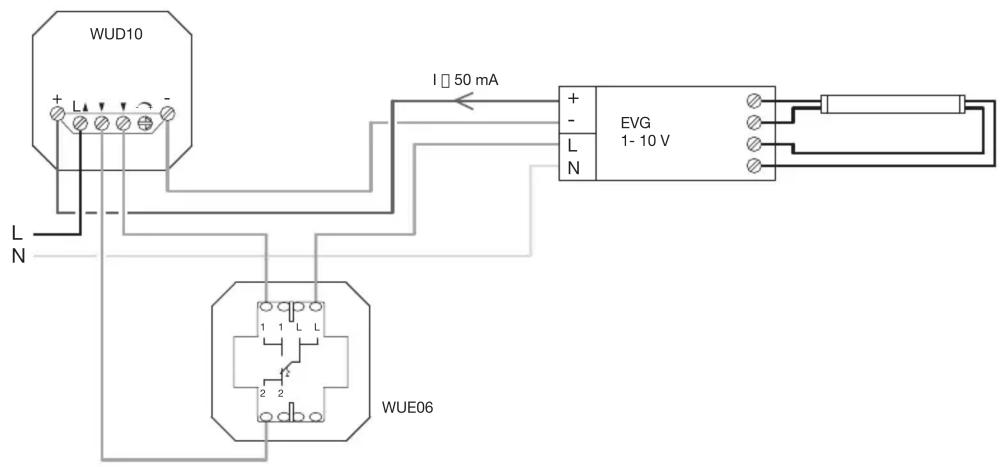 WUD10 + - L N I □ 50 mA EVG 1- 10 V + - L N WUE06