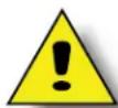 Wells WB2E - CAUTION: RISK OF DAMAGE - 1