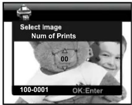 Select Image Num of Prints 00 100-0001 OK:Enter