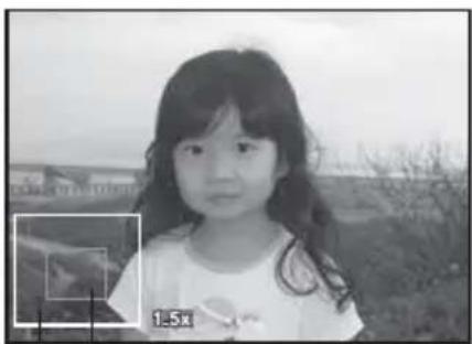POLAROID Instant - Playback of Still Images - 2