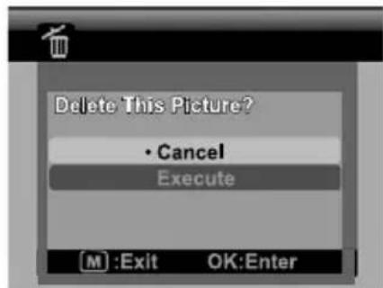 Delete This Picture? • Cancel Execute (M) :Exit OK:Enter