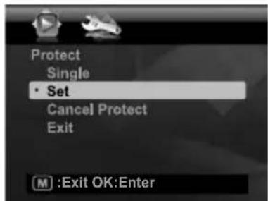 Protect Single • Set Cancel Protect Exit M :Exit OK:Enter