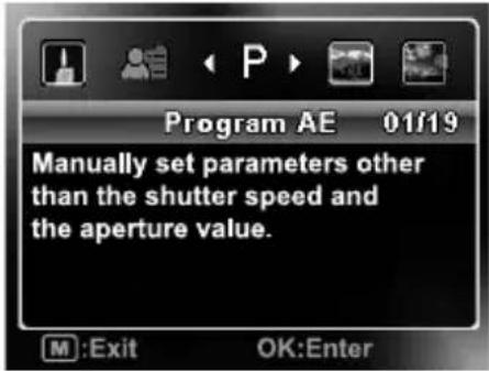 Program AE 01/19 Manually set parameters other than the shutter speed and the aperture value.