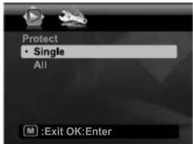 Protect • Single All M :Exit OK:Enter