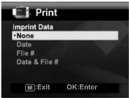 Print Imprint Data • None Date File # Date & File #