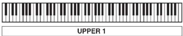 UPPER 1