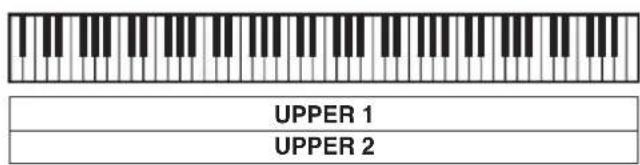 UPPER 1 UPPER 2