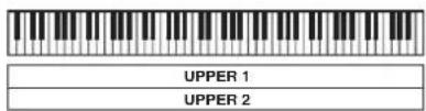 UPPER 1 UPPER 2