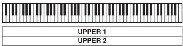 UPPER 1 UPPER 2