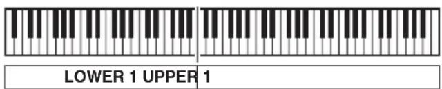 LOWER 1 UPPER 1