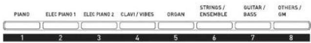 PIANO ELEC PIANO 1 ELEC PIANO 2 CLAVI / VIBES ORGAN STRINGS / ENSEMBLE GUITAR / BASS OTHERS / GM 1 2 3 4 5 6 7 8