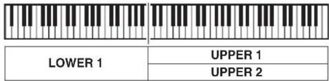 LOWER 1 UPPER 1 UPPER 2
