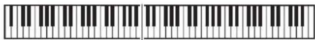 CASIO Privia PX-3BK - Aufteilen der Tastatur auf zwei Klangfarben - 1