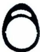 ABUS AE255F-IG - Proximity / Hitag1 / Hitag2-Transponder: - 2