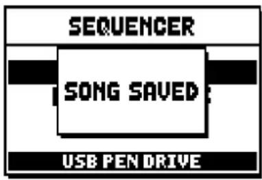 SEQUENCER SONG SAVED USB PEN DRIVE