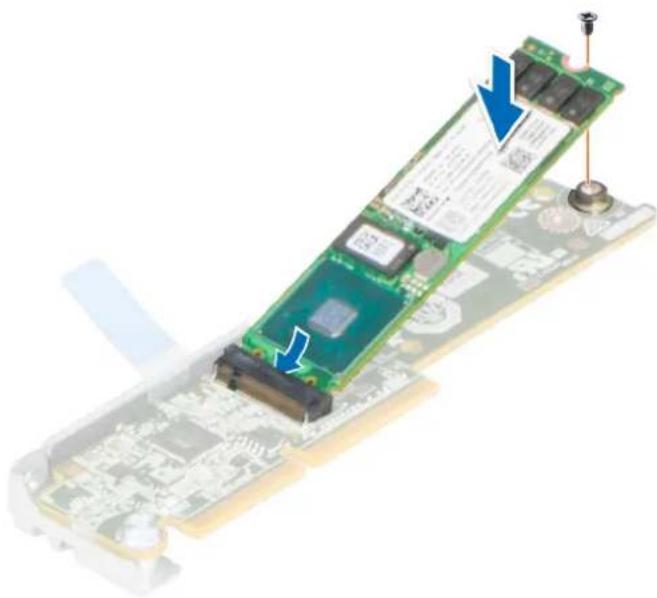 DELL PowerEdge C6520 - Schritte - 1