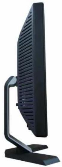 DELL E198WFP - Seitenansicht - 1