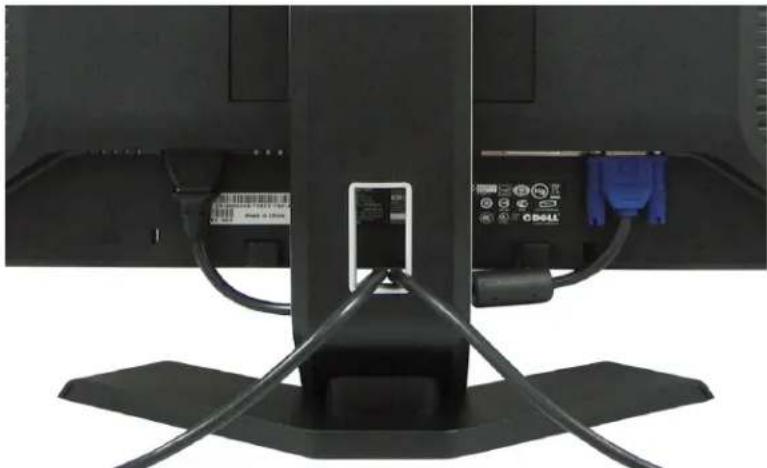 DELL E198WFP - Verlegen der Kabel - 1