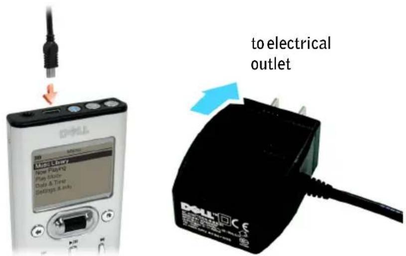 to electrical outlet DOLL® CDCE