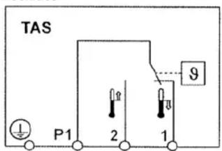 TAS P1 2 1 9