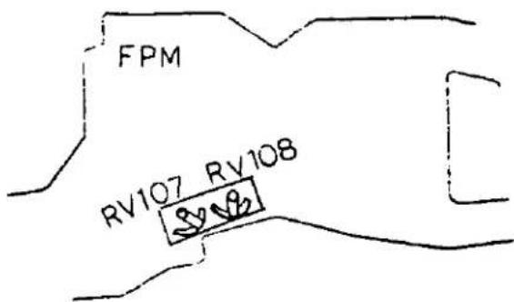 FPM RV107 RV108