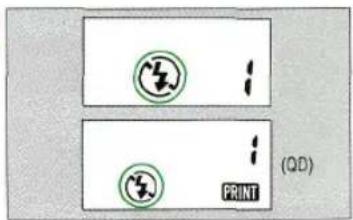(QD) PRINT