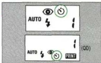 AUTO AUTO PRINT (QD)