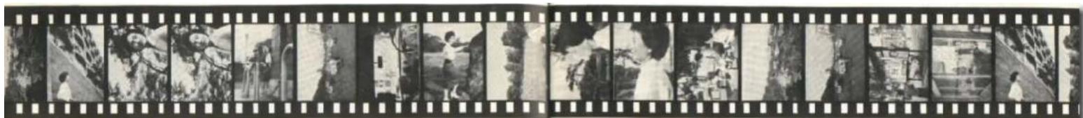 OLYMPUS Pen - Olympus Pen - 10