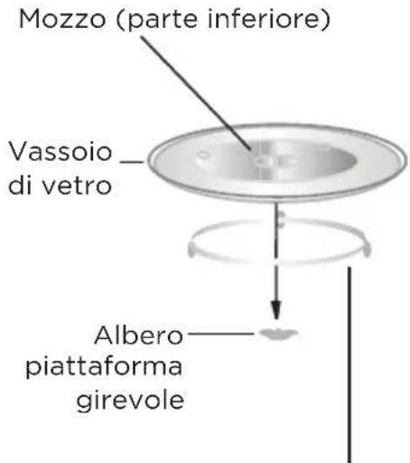 Mozzo (parte inferiore) Vassoio di vetro Albero piattaforma girevole