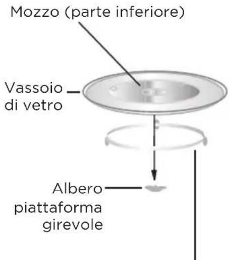 Mozzo (parte inferiore) Vassoio di vetro Albero piattaforma girevole