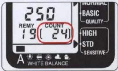 250 REMY COUNT 19(24) A WHITE BALANCE NORMAL BASIC QUALITY HIGH STD SENSITIVE